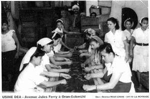 Oran - Eckmulh - Avenue Jules Ferry - Usine Conserves Dea